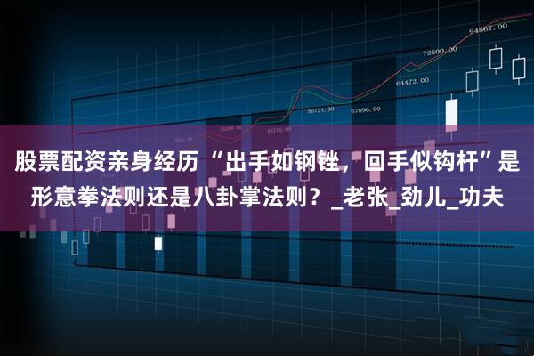股票配资亲身经历 “出手如钢锉，回手似钩杆”是形意拳法则还是八卦掌法则？_老张_劲儿_功夫